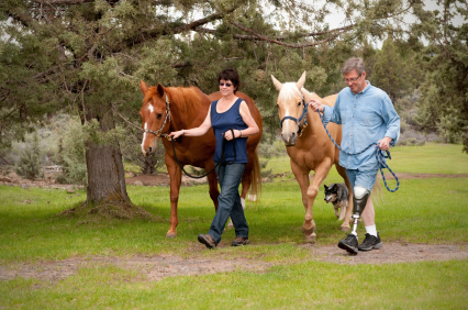 New%20folder/iStock%20BK%20Pt_%20with%20Horse%20XSmall.jpg